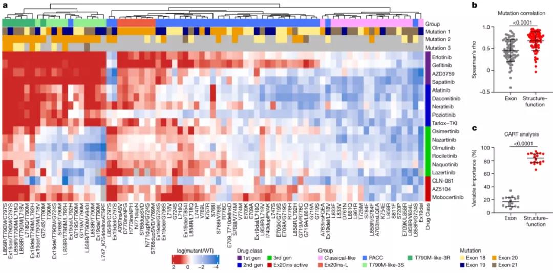 Nature重磅：這種致死率高的惡性腫瘤，或?qū)⒂瓉?lái)精準(zhǔn)治療時(shí)代