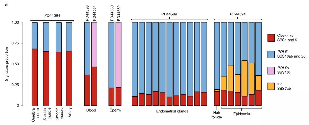 人為什么會得癌癥？《自然》子刊對體細(xì)胞、胚胎、精子測序發(fā)現(xiàn)重要基因！