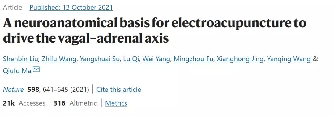 Nature：針灸不再是“玄學(xué)”！中美科學(xué)家證明針灸的神經(jīng)解剖學(xué)原理