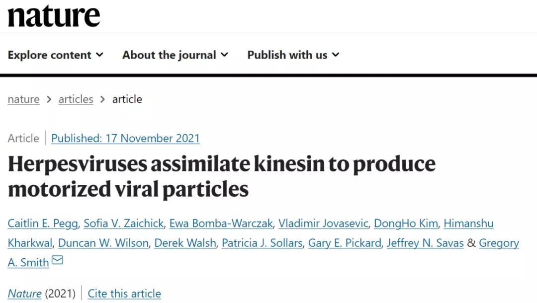 《Nature》：皰疹病毒看似“低調(diào)的青銅” ，實(shí)則“神秘的強(qiáng)者”