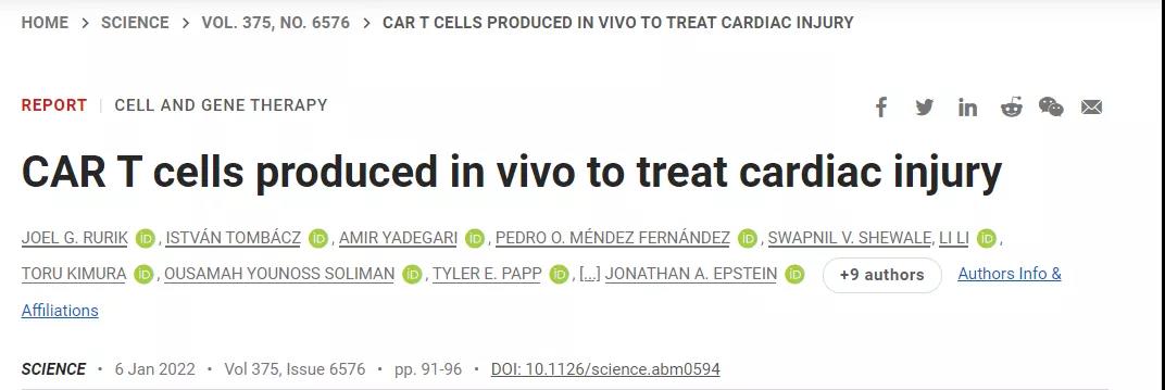 CAR-T技術(shù)再升級(jí)！無(wú)需體外編程T細(xì)胞，一針注射修復(fù)受損心臟，省錢又省心！