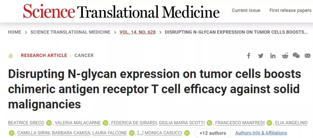 摘去腫瘤細(xì)胞的“糖衣”，CAR-T即成為“炮彈”！