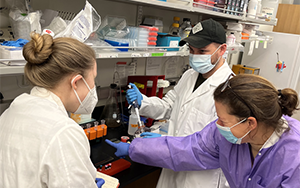 Cell：改善細(xì)胞反應(yīng)與混合免疫