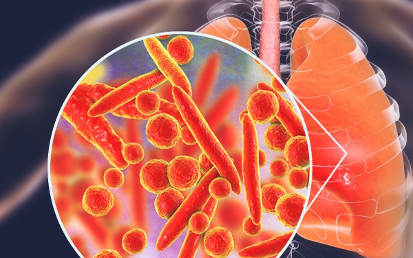 Seebio?生產(chǎn)專用生物污染去除試劑--專為IVD、疫苗工業(yè)設(shè)計(jì)