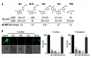 抗生素濫用問題如何解決？Science 新研究揭示抗生素輔助抑制劑的新進(jìn)展