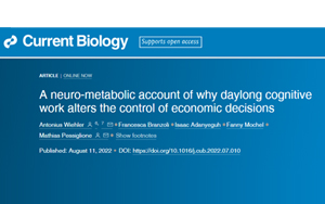 不知道大腦疲勞的真正原因，千萬別輕易決策