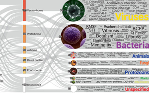 極端高溫只是開始，更致命的警告在后面：58%人類病原體獲得強(qiáng)化