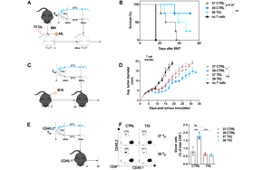 PNAS驚人大發(fā)現(xiàn)！發(fā)燒竟能抗癌，“小病不斷，大病不犯”或許不是謠傳