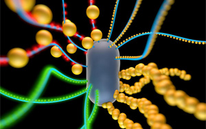 《Nature》創(chuàng)造具有逼真功能的人工細(xì)胞！