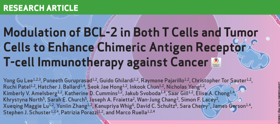 探索CAR-T療法抗腫瘤效果的提升途徑