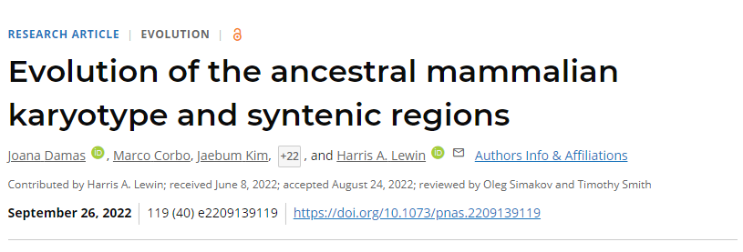 國(guó)際研究團(tuán)隊(duì)通過計(jì)算重建了哺乳動(dòng)物共同祖先的基因組組織
