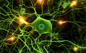 Nature Genetics：關(guān)于小膠質(zhì)細胞的新發(fā)現(xiàn)