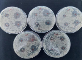 打孔法實(shí)驗(yàn)圖片1/10