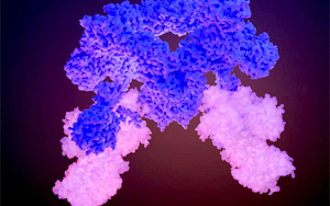 Nature破譯細胞生長的關(guān)鍵調(diào)控因子