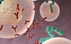 Immunity：科學家開發(fā)出EB病毒的研究性單抗