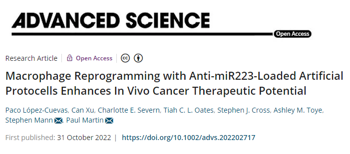 一種重新編程免疫細(xì)胞以縮小或殺死癌細(xì)胞的新方法