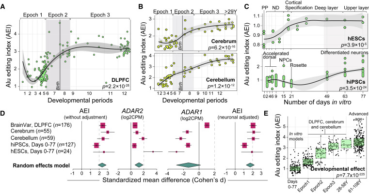 人類大腦發(fā)育和神經(jīng)元成熟過程中的Alu編輯指數(shù)