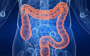 曬太陽真的能防癌？186國數(shù)據(jù)研究重磅出爐，紫外線照射不足或成結(jié)直腸癌潛在致病原因