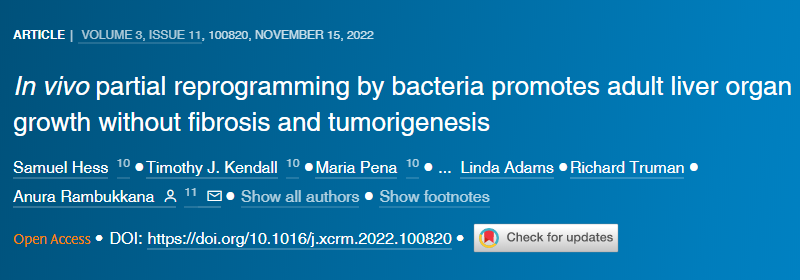 一種可能進(jìn)化為幫助對抗感染的免疫反應(yīng)似乎是驅(qū)使人類免疫缺陷病毒(HIV)進(jìn)入潛伏狀態(tài)的機(jī)制