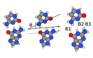 量子生物學家發(fā)現(xiàn)，酶可能是理解DNA突變的關(guān)鍵