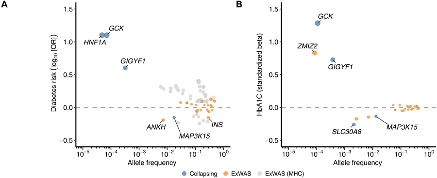 英國生物樣本庫（UKB）中歐洲血統(tǒng)糖尿病患者與相關(guān)特征的遺傳關(guān)聯(lián)
