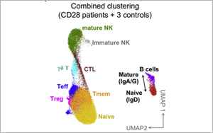 這類人群感染HPV后可能成為“樹人”！Cell揭示CD28缺乏與HPV易感性之間的關(guān)系