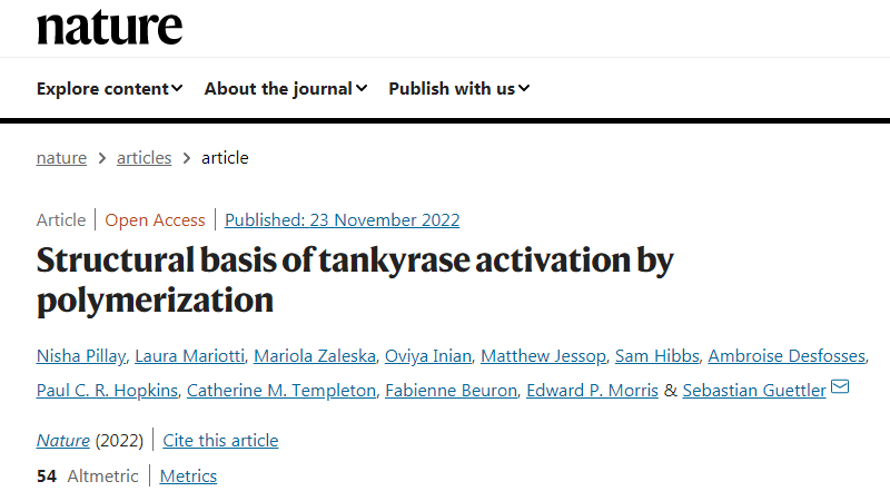 科學(xué)家們已經(jīng)揭示了一種涉及廣泛細(xì)胞過程的關(guān)鍵蛋白質(zhì)的內(nèi)部工作原理 科學(xué)家們已經(jīng)揭示了一種涉及廣泛細(xì)胞過程的關(guān)鍵蛋白質(zhì)的內(nèi)部工作原理
