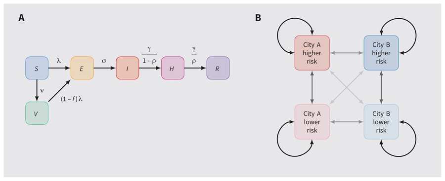 分配猴痘病毒疫苗模型結(jié)構(gòu)