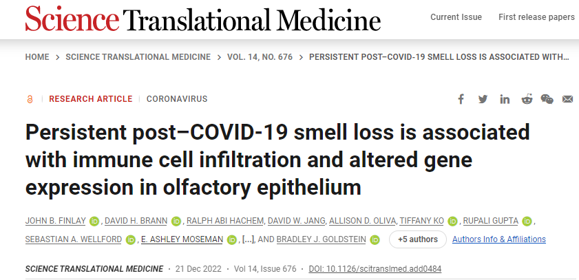 新冠肺炎后無(wú)法恢復(fù)嗅覺(jué)與免疫系統(tǒng)對(duì)嗅覺(jué)神經(jīng)細(xì)胞的持續(xù)攻擊以及這些細(xì)胞數(shù)量的相關(guān)下降有關(guān)