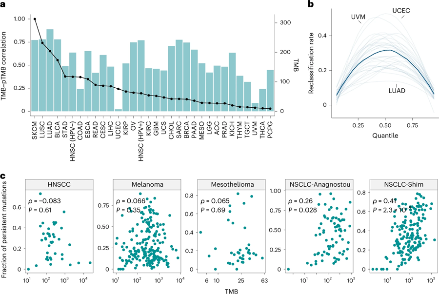 持久性突變含與TMB之間的相關(guān)性評(píng)估 持久性突變含與TMB之間的相關(guān)性評(píng)估