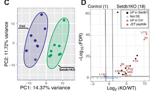 Science Immunology兩篇重要論文：解決癌癥免疫領(lǐng)域長(zhǎng)期面臨的挑戰(zhàn)