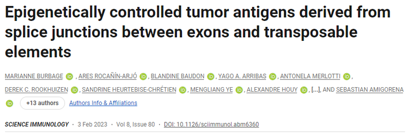 表觀遺傳控制的腫瘤抗原來源于外顯子和轉(zhuǎn)座元件之間的剪接連接