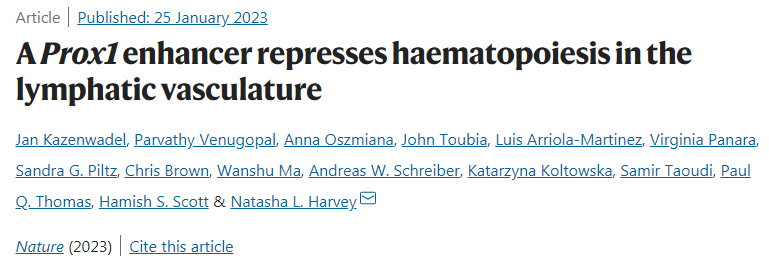 科學(xué)家發(fā)現(xiàn)淋巴管可以產(chǎn)生紅細(xì)胞和白細(xì)胞