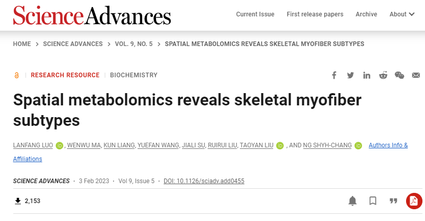 科學家們首次在小鼠腿上發(fā)現(xiàn)了一種新的超快2B型肌纖維亞型 科學家們首次在小鼠腿上發(fā)現(xiàn)了一種新的超快2B型肌纖維亞型