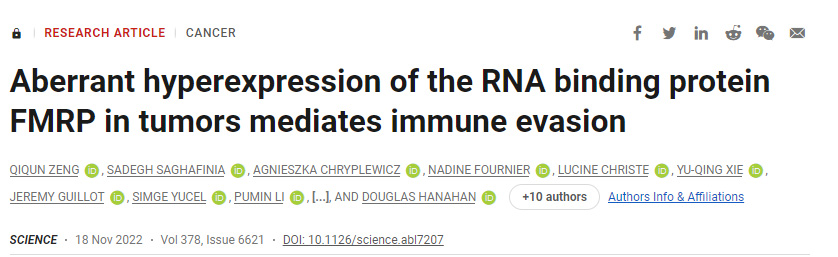 一種蛋白質(zhì)在幫助腫瘤逃脫免疫損傷方面起著關(guān)鍵作用 一種蛋白質(zhì)在幫助腫瘤逃脫免疫損傷方面起著關(guān)鍵作用