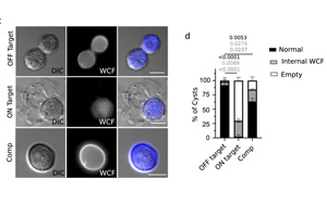 CRISPR篩選發(fā)現(xiàn)巨型病毒竟然來(lái)自小病毒！