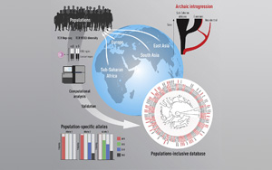 為什么我們對(duì)新冠等疾病的反應(yīng)不同？Immunity發(fā)現(xiàn)人與人之間T細(xì)胞受體基因存在很大差異
