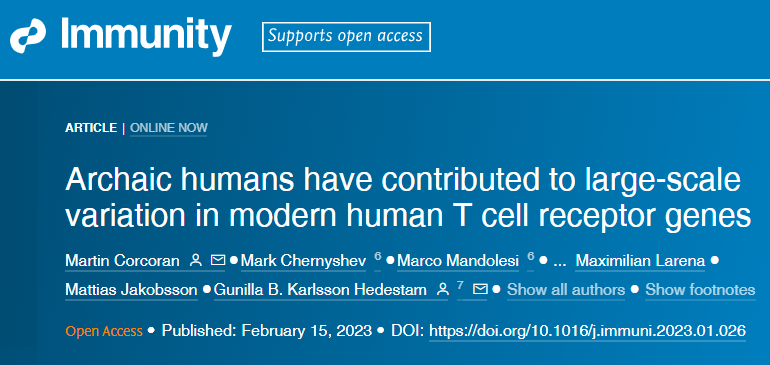 研究人員發(fā)現(xiàn)編碼T細胞受體的基因在人和人群之間存在很大差異