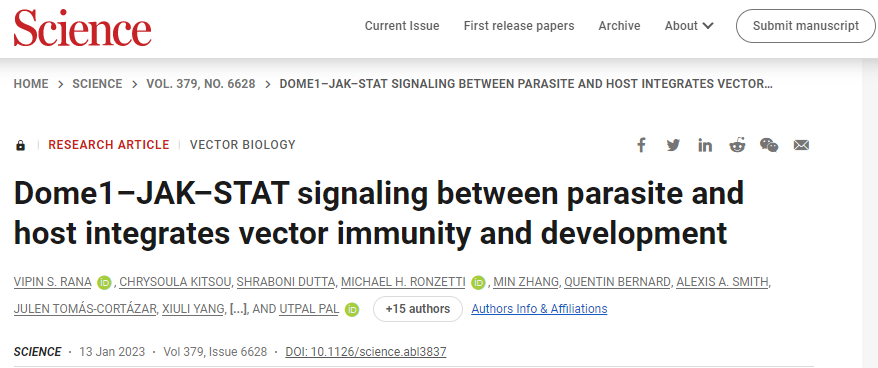 研究人員發(fā)現(xiàn)了宿主和節(jié)肢動(dòng)物寄生蟲之間的第一個(gè)物種間信號(hào)通路