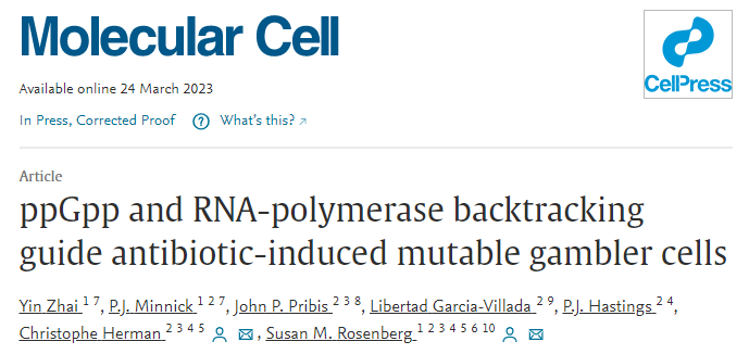貝勒醫(yī)學(xué)院研究人員在分子水平上研究導(dǎo)致抗生素耐藥性的過程