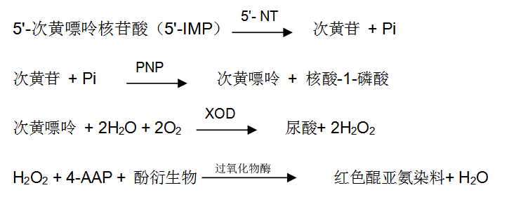 5'-核糖核苷酸磷酸水解酶檢測原理