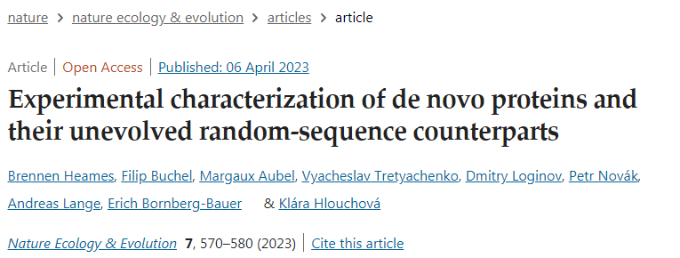 新生蛋白質(zhì)與計算機生成的蛋白質(zhì)之間存在微小但顯著的差異
