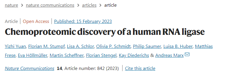 蛋白質(zhì)C12orf29具有抵抗細胞應(yīng)激的保護功能 蛋白質(zhì)C12orf29具有抵抗細胞應(yīng)激的保護功能