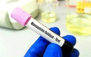 單胺氧化酶（MAO）檢測試劑盒用原輔料