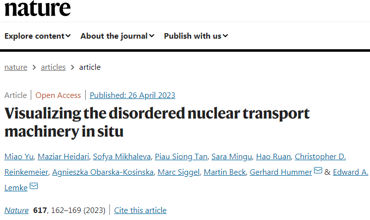 科學(xué)家們發(fā)現(xiàn)毛孔中心的內(nèi)在無(wú)序蛋白質(zhì)是如何形成移動(dòng)屏障 科學(xué)家們發(fā)現(xiàn)毛孔中心的內(nèi)在無(wú)序蛋白質(zhì)是如何形成移動(dòng)屏障