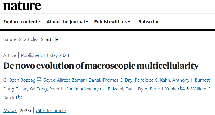 研究小組展示了雪花酵母是如何進(jìn)化成更強(qiáng)壯的多細(xì)胞群體