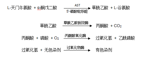 谷草轉(zhuǎn)氨酶(AST/GOT)檢測原理 谷草轉(zhuǎn)氨酶(AST/GOT)檢測原理