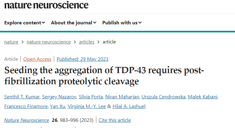科學(xué)家們重現(xiàn)了在患有盧伽雷氏病和其他神經(jīng)系統(tǒng)疾病的患者大腦中發(fā)現(xiàn)的病理蛋白聚集體的關(guān)鍵特征 科學(xué)家們重現(xiàn)了在患有盧伽雷氏病和其他神經(jīng)系統(tǒng)疾病的患者大腦中發(fā)現(xiàn)的病理蛋白聚集體的關(guān)鍵特征