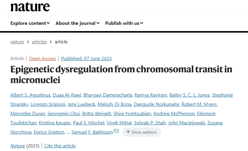 表觀遺傳改變改變細胞中基因的開啟或關閉，但不改變細胞的DNA