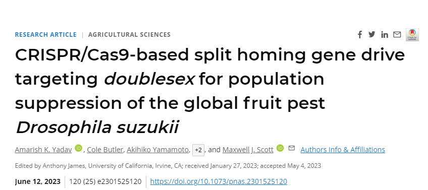 研究人員已經(jīng)開(kāi)發(fā)出一種基于CRISPR/Cas9的歸巢基因驅(qū)動(dòng)系統(tǒng)